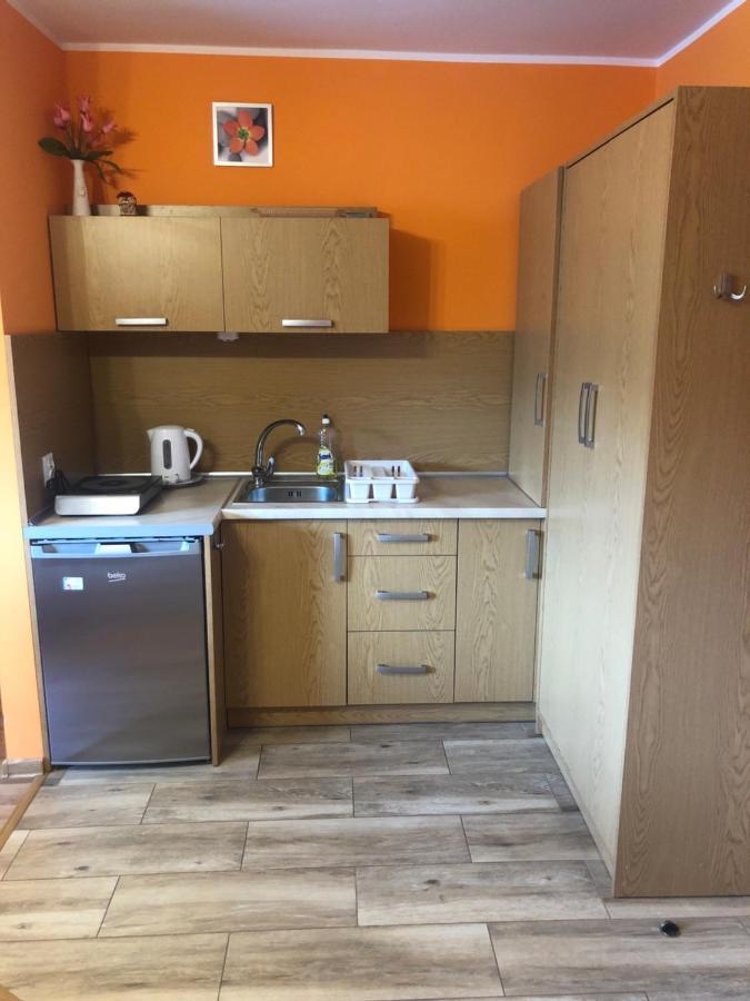 Sloneczny Dworek U Sarnow Apartment ชาร์นาโกรา ภายนอก รูปภาพ